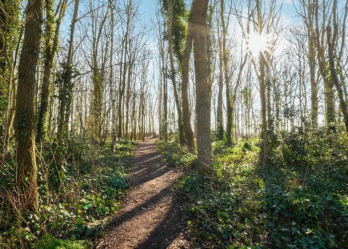 Sunnybeachhouse Aan Het Bos, Tussen Zee En Meer. Casa de Férias *