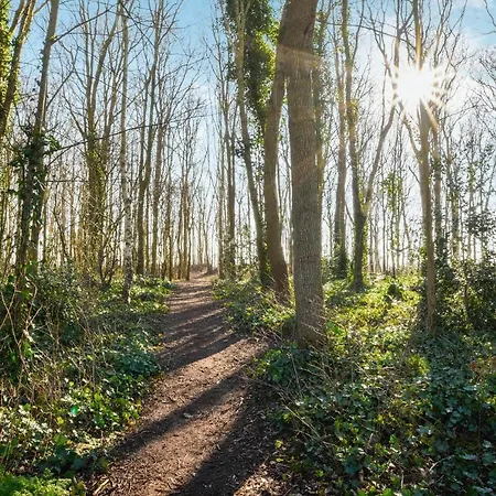 Sunnybeachhouse Aan Het Bos, Tussen Zee En Meer. Feriehus *